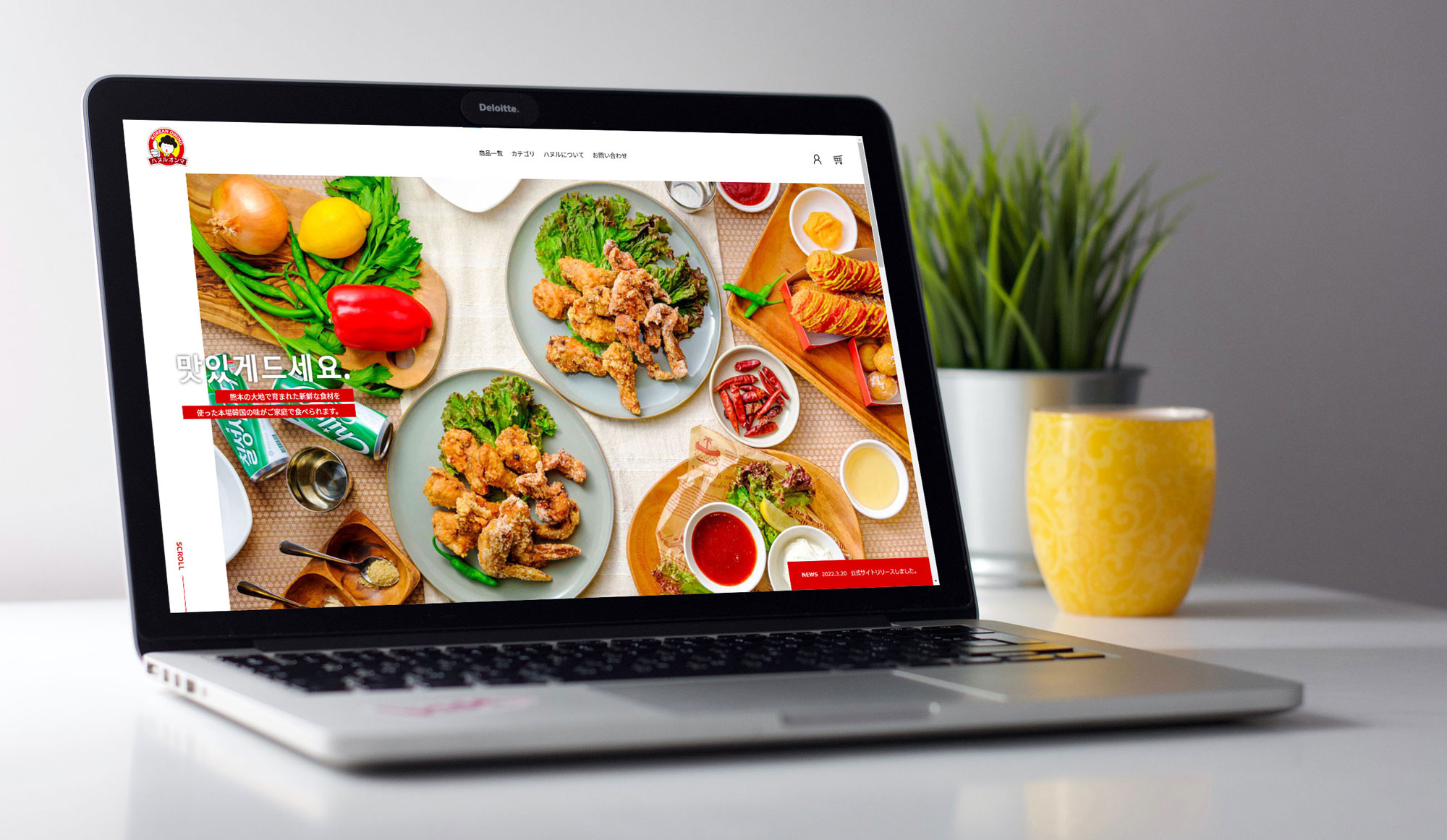 実績のイメージ画像